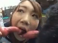 Asian sweetheart copulates with a dog